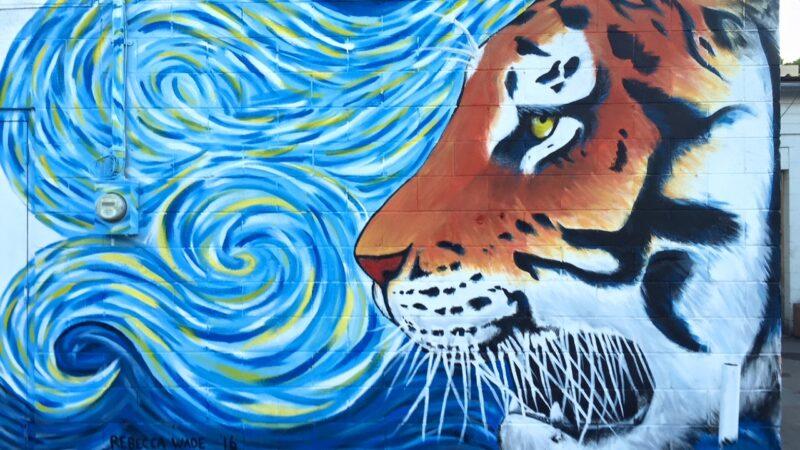 Gorgeous large scale tiger with a Van Gogh-esque blue swirly sky